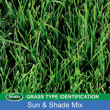 Load image into Gallery viewer, Scotts Turf Builder Grass Seed Sun and Shade Mix