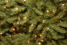 Load image into Gallery viewer, National Tree 4-1/2 Foot Dunhill Fir Tree with 450 Clear Lights (DUH3-45LO)