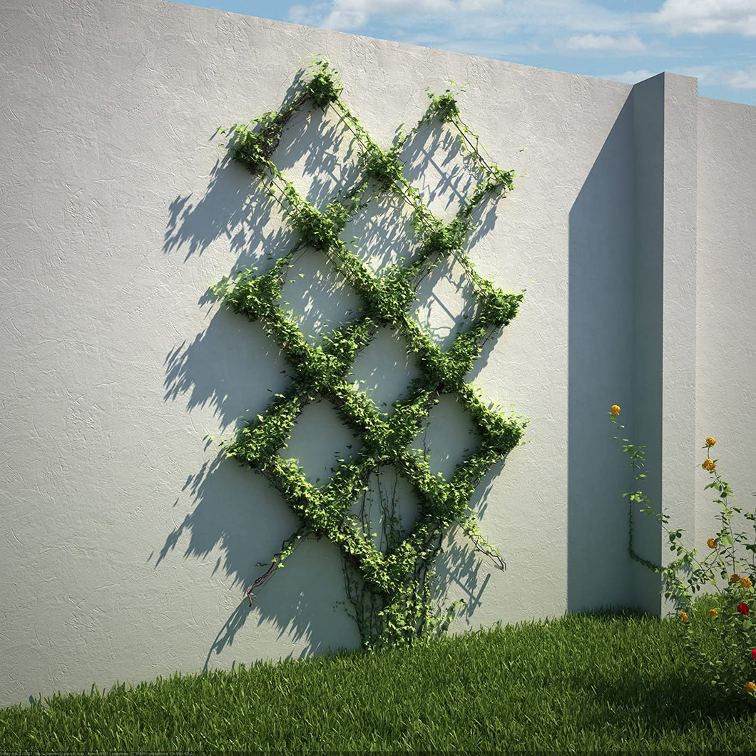 Diamond Pattern Wire Trellis