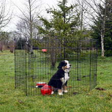 Load image into Gallery viewer, Lucky Dog Modular Pet Play Pen