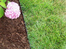 Load image into Gallery viewer, Valley View Innovative Edge No Dig edging 20 feet with EXTRA anchor nails (16 quantity)