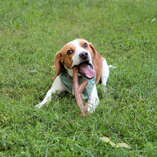 Load image into Gallery viewer, Chew King