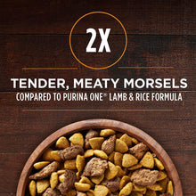 Load image into Gallery viewer, Purina ONE SmartBlend True Instinct Natural Adult Dry Dog Food &amp; Dog Treats