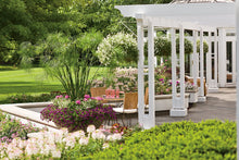 Load image into Gallery viewer, Proven Winners North Star Boxwood