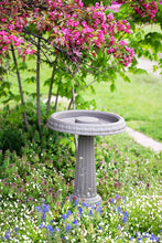 Load image into Gallery viewer, Bloem Grecian Bird Bath with Pedestal, 24&quot; x 19&quot;, Peppercorn (BB2-60)