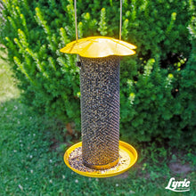 Load image into Gallery viewer, Lyric Finch Small Songbird