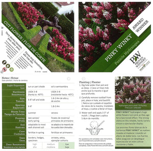1 Gal. Pinky Winky Hardy Hydrangea (Paniculata) Live Shrub, White and Pink Flowers