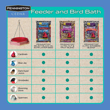Load image into Gallery viewer, Pennington 100509196 Cedar Hanging 2 in 1 Bird Bath &amp; Feeder, 4 LBS
