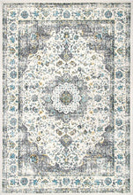 Load image into Gallery viewer, nuLOOM Paisley Verona Vintage Persian Area Rug