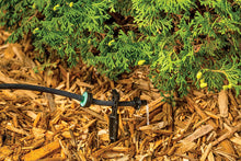 Load image into Gallery viewer, Rain Bird CVD2010PKXS Drip Irrigation Dripper/Emitter with Built-In Check Valve, 2 Gallon Per Hour, 10-Pack