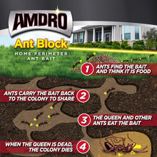 Load image into Gallery viewer, Amdro Ant Block Home Perimeter Ant Bait Granules