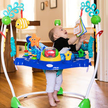 Load image into Gallery viewer, Baby Einstein Jumper