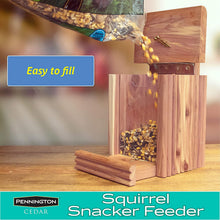 Load image into Gallery viewer, Pennington 100509197 Cedar Squirrel Snacker Feeder, 2.75 LB Capacity