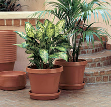 Load image into Gallery viewer, Bloem Terra Plant Saucer Tray for Planters 17-24&quot; Chocolate Brown
