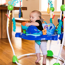 Load image into Gallery viewer, Baby Einstein Jumper