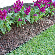 Load image into Gallery viewer, Valley View Innovative Edge No Dig edging 20 feet with EXTRA anchor nails (16 quantity)