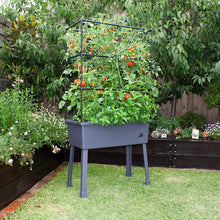 Load image into Gallery viewer, Patio Ideas - 15.75" x 31.5" x 63" Self-Watering Elevated Planter with Trellis Frame and Greenhouse Cover