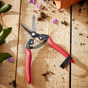 Corona Long Curved Snip