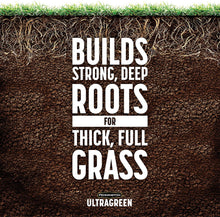 Load image into Gallery viewer, Pennington 100536576 UltraGreen Lawn Fertilizer, 14 LBS, Covers 5000 Sq Ft